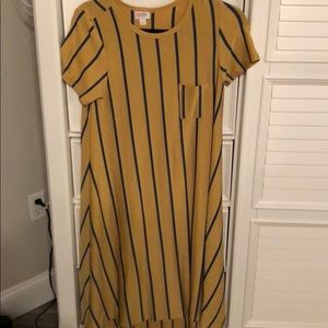 XXS Lularoe Carly